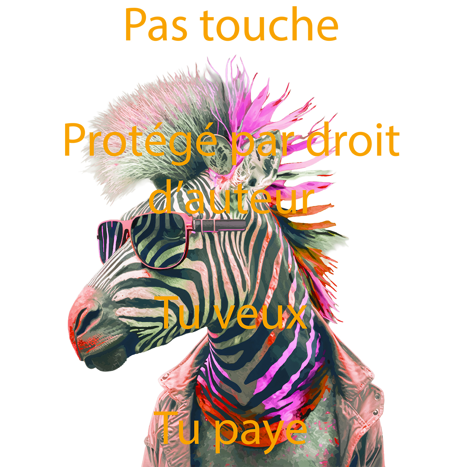 Zèbre punk